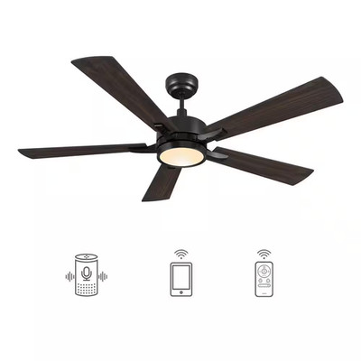 Apex 56 In. Dimmable LED Indoor/Outdoor Black Smart Ceiling Fan, with Light and