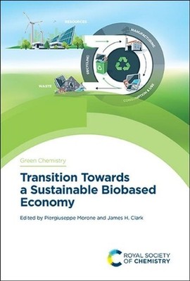 Transition Towards a Sustainable Biobased Economy by Piergiuseppe Morone (Englis