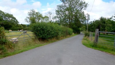 Photo 6x4 Lane to Woodlow and Woodlow Farm Fox Hill/SO6845 Also shows tw c2015