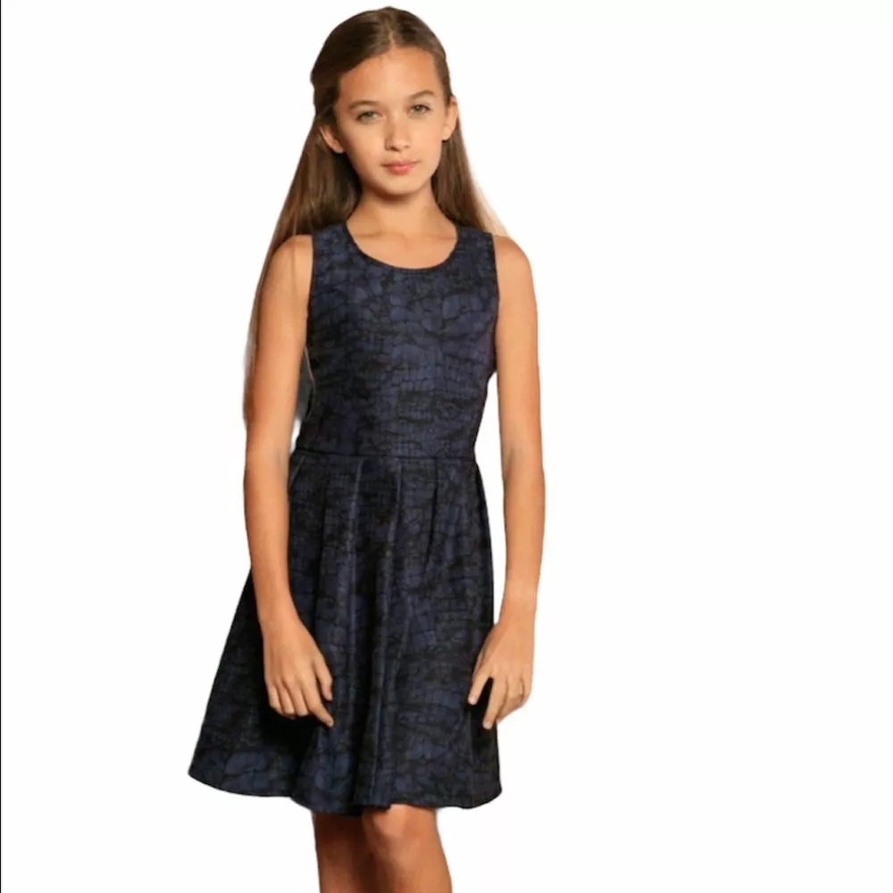 Girls navy sale skater dress