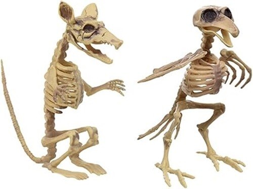 Halloween Skeleton bones movable mouth head Crow-Raven Rat 7" decoration Prop - Picture 2 of 3