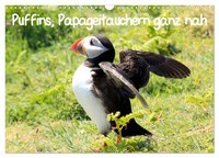 "Calendar 2027 · US Version · Puffins, Puffins Very Close (Wall Calendar 2027 17\""