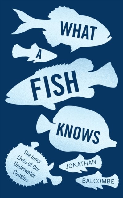What a Fish Knows: The Inner Lives of Our  by Jonathan Balcombe PAPERBACK
