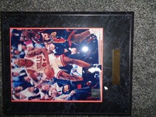 Dennis Rodman  Chicago Bulls Basketball 8x10  NBA Rebounding Champion 1996