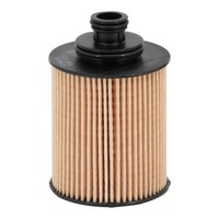 Filtron ÖLfilter Filtereinsatz Passend FüR Alfa Romeo Mito Fiat 500 Bravo Doblo