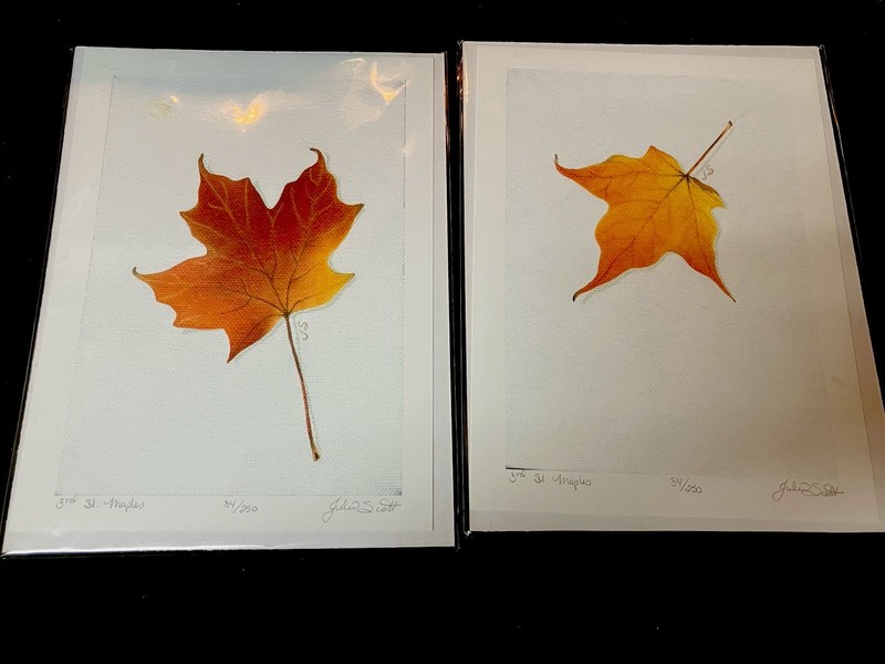 Fall Autumn Signed Numbered Art Print Prints - Maple Leaves Julie Scott NEW