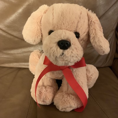 dog loves stuffed animal