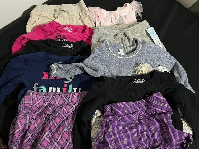 Lot of 10 Girls Clothes Size 18 Months