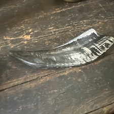 Polished Horn Shofar