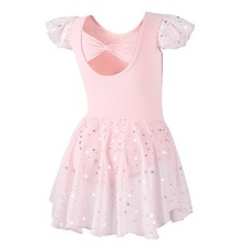 Girls Dance Dress Ballet Leotards for Girls Toddler Ballet Outfit Shiny Skirt...