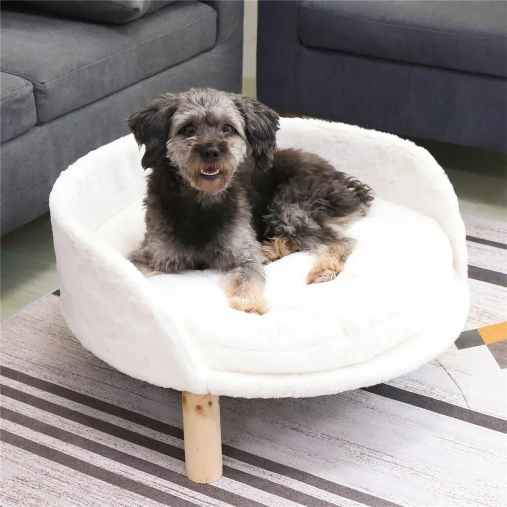 Comfy couch shop pet bed