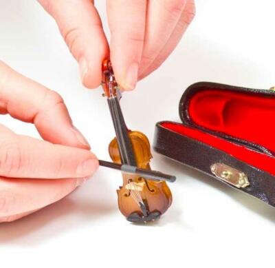 Worlds Smallest Miniature Violin Case Instrument Gift Tiny Wooden
