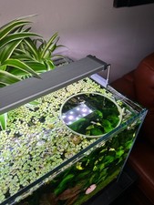 Schwimmender Aquarienring mit Halterung | Fut...