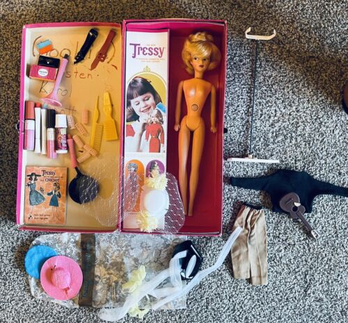 Tressy Doll Amercan Character Pink Display Box+Stand Hair Access Outfit Hats Bk - Picture 1 of 10