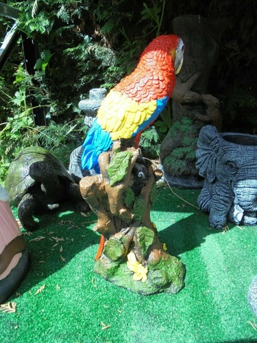 Parrot Concrete garden ornament - Picture 10 of 13