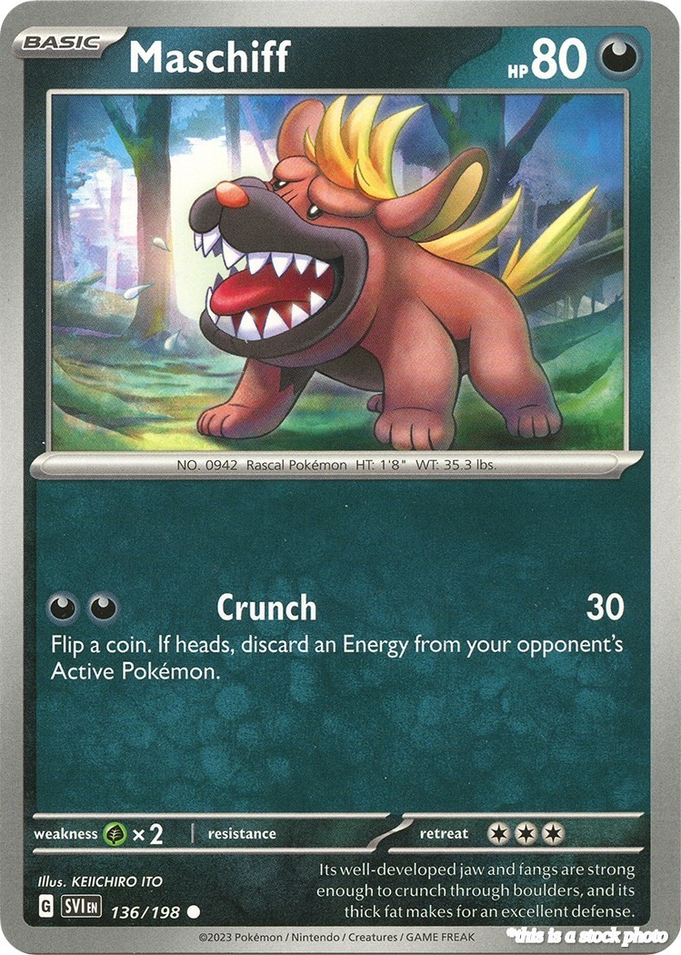 Maschiff SVI 136/198 Pokémon Scarlet & Violet Base Set Common EN NM