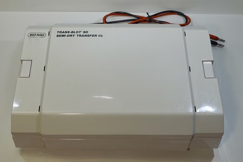 Bio-Rad Trans-Blot SD 221BR Semi-Dry Transfer Cell Electrophoresis Western Blot