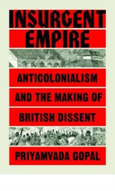 Insurgent Empire: Anticolonial Resistance and British Dissent by Priyamvada Gop - Image 8