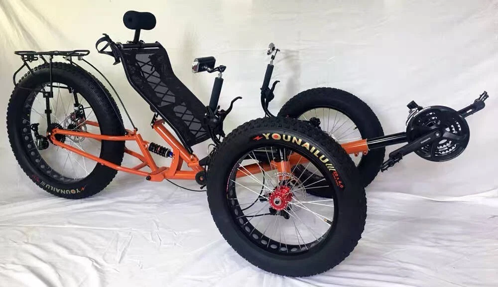 3 wheel bicycle ebay hot sale