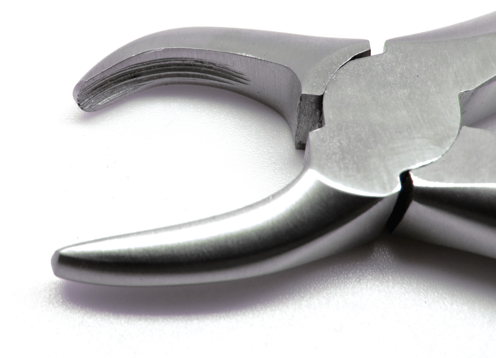 Dental Tartar Forceps 4.5" Calculus Remover Tooth Scraper Veterinary