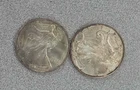 Lot of 2 American 1 oz. .999 Silver Eagles (004)