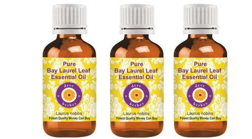Aceite esencial de hoja de laurel de bahía pura Deve Herbes (Laurus nobilis) destilado al vapor - Imagen 67 de 134
