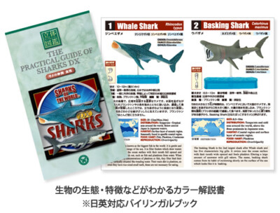 Colorata Real Figure box Set Shark Deluxe from JAPAN New F/S w/T