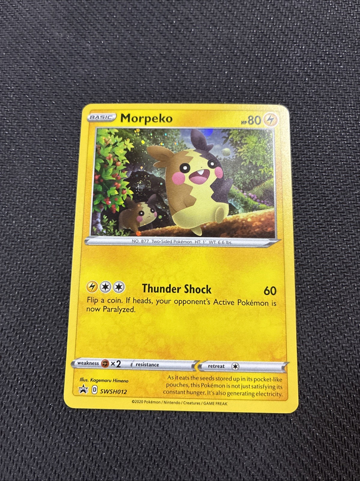 Morpeko SWSH012 Sword Shield Holo Black Star Promo Pokemon NM