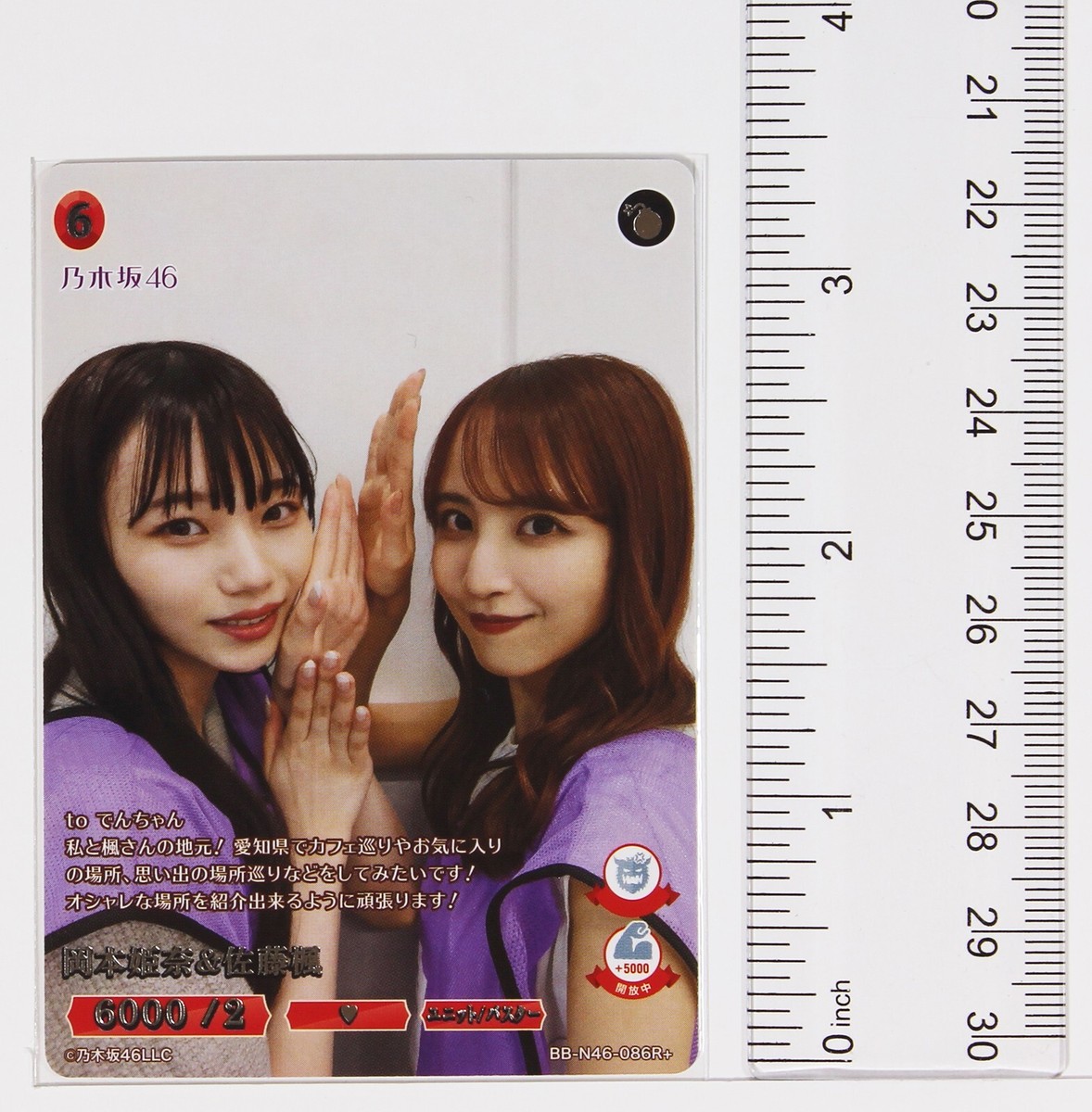 Hina Okamoto & Kaede Sato (N46-086R plus) - Build Divide