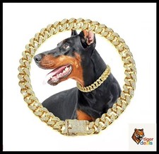 Luxury Gold Dog  Cat Chain Collar Elegant Metal Pet Necklace for All sizes Pet