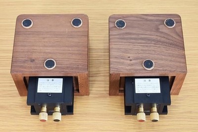 PIONEER PT-R9 Super Ribbon Tweeter PAIR speaker tad audio 1DayShip