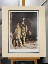 Mick Cawston - Ready - Mounted (In Stock)