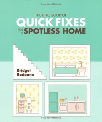 Quick Cleaning Tips for a Spotless Home Paperback Bridget Bodoano