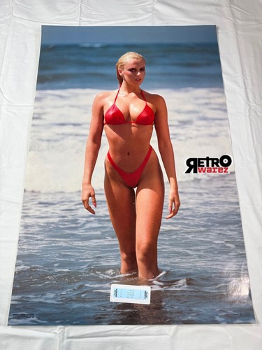 Leslee Bremmer - 1986 Beach Poster 21x32” Celebrity Vintage Pinup Model Actress