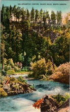 Black Hills South Dakota SD : NATURE SCENE d/13 AV8713