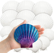 18PCS Large Natural Scallop Shells,2''-3'' 4''-5'' White Seashells Bulk