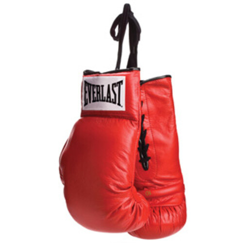 Everlast Red Lace Autograph Boxing Gloves eBay