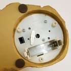 Picture 6 of 8