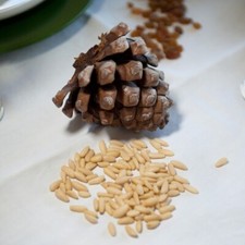  Pinoli sgusciati mediterranei confezione da 1 Kg 