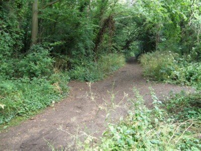 Photo 6x4 Footpath intersection in Woodford Shrubbery Thrapston Some well c2009