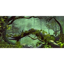 48x20 inches Foggy Forest Terrarium Background Stone Green Tree Tropical Rept...