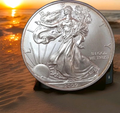 #ad 2009 SILVER EAGLE Pretty From Front Looks Like She Was In A KnifeFight Back $79.99