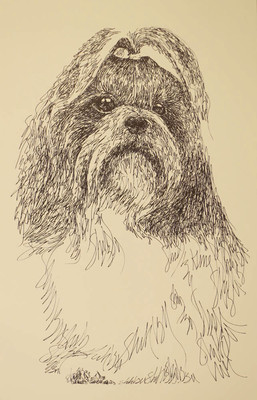 Shih Tzu Portrait - Rainbow Bridge Personalized Kline dog art lithograph. #49