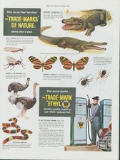 1948 Ethyl Antiknock Gas Nature Mimics Look Alikes Pumps Vintage Print Ad SP14