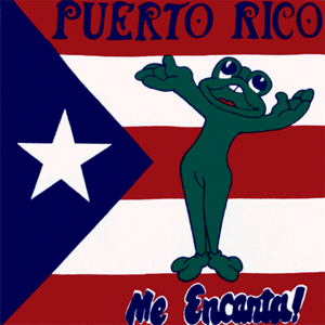 Puerto Rico Me Encanta Flag Bandana Cotton Scarves Scarf Head Band