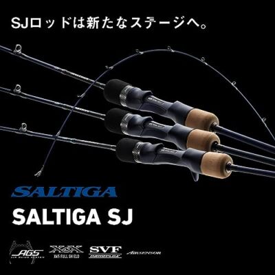 Daiwa Fishing Rod Slogging Rod SALTIGA SJ 61B-3 ・ W | eBay