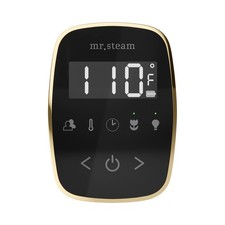 Mr Steam TF Tempoflex Steam Shower Control and Steamhead - Black