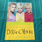 DIZIE CHICKS V INTAGE ALBUM FLAT — photo 1