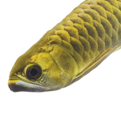 Funny Simulation Carp Kids Plush Toy Stuffed Fish Plush Stuffed Animal T'YY - Picture 4 of 11