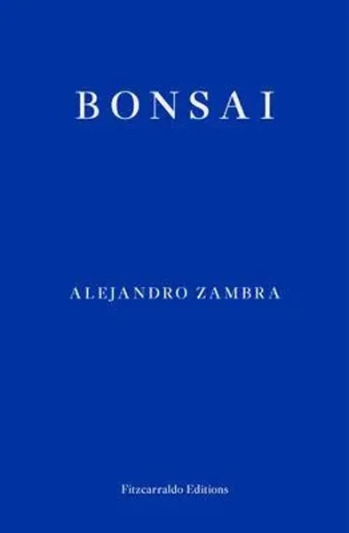 Bonsai | Alejandro Zambra | Englisch | Taschenbuch | Kartoniert / Broschiert-image